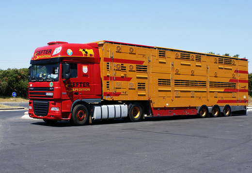 Hefter Spedition (DE).jpg